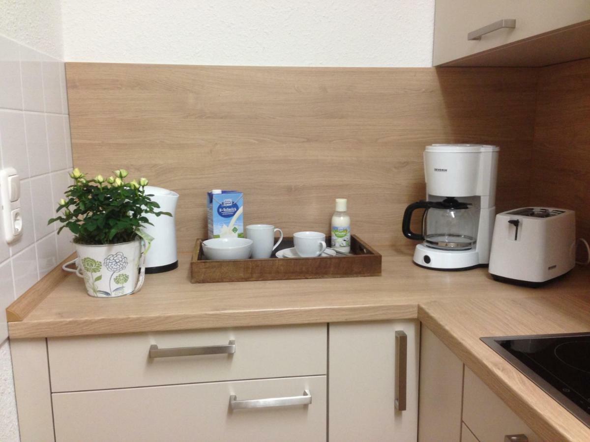 Ferienwohnung Ortrand - Pension Luaran gambar